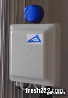 Anti-theft system Anti-theft